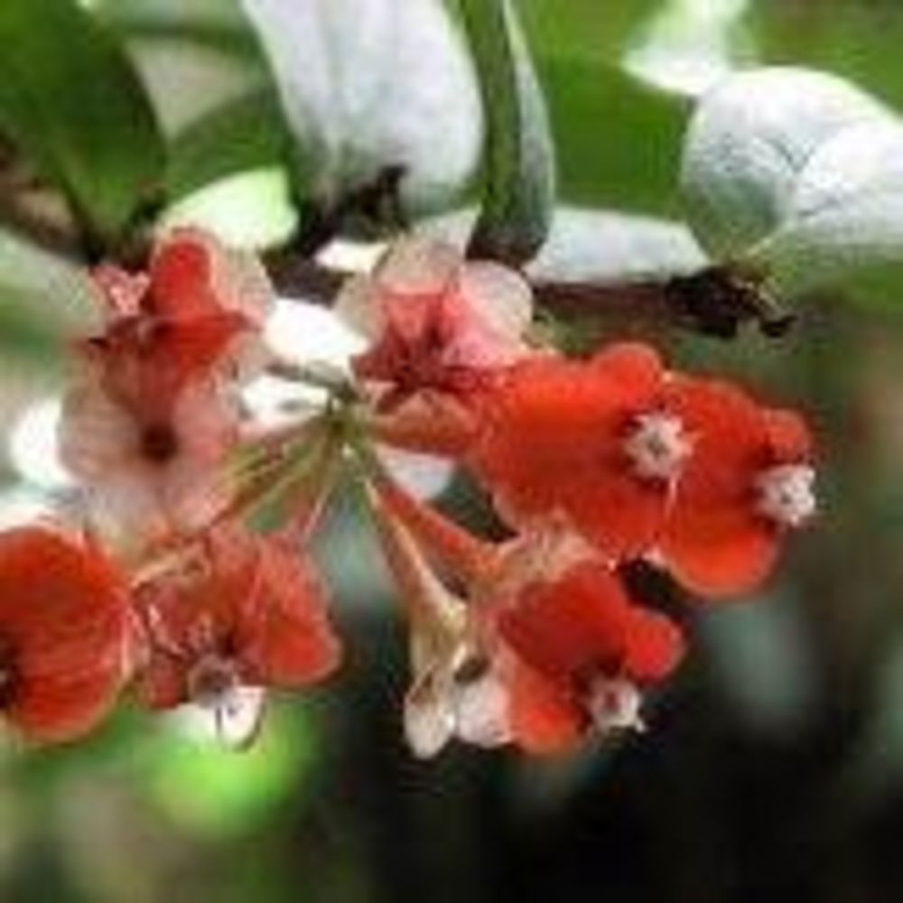 Meet your Posher, C.s.